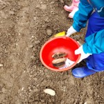 IMG_20250430_130457