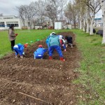 IMG_20250430_130534