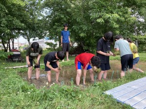 IMG_1078-1
